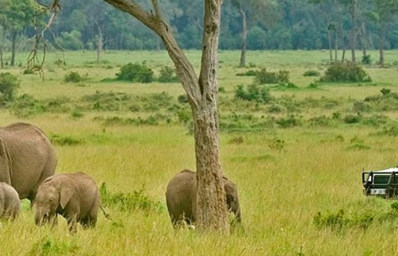 14 Days Best Of Kenya And Tanzania Safari Parks