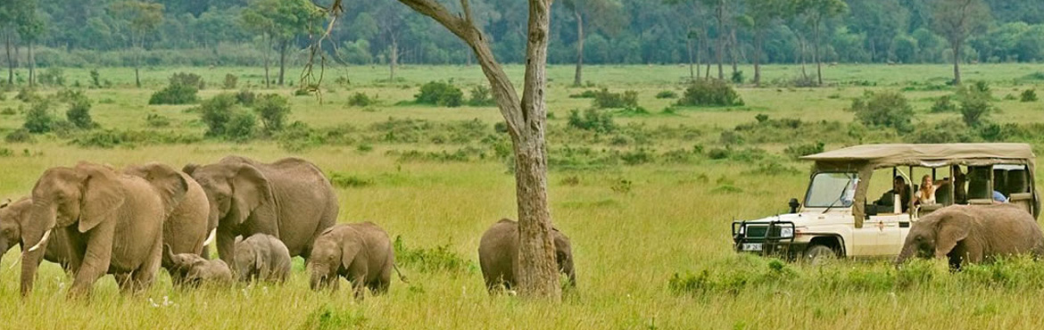 14 Days Best Of Kenya And Tanzania Safari Parks