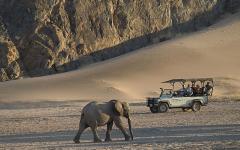 Namibia Walking Safari – Desert Rhino and Elephants