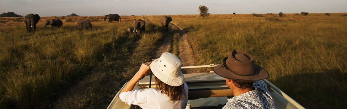 12 Days Tanzania Safari And Zanzibar Beach