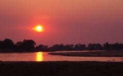 Escaping the World: The Offbeat Zambian Adventure for Safari Aficionados