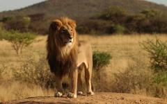 Wonders of Caprivi Safari: Eight Game Reserves in Two Weeks