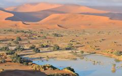 Adventurous Namibia Family Vacation & Safari