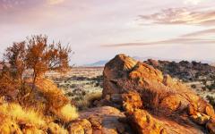 The Ultimate Northern Namibia Self Drive Safari Tour