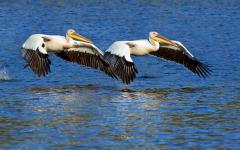 Luxury Self Drive Namibia Safari for Seniors