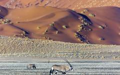Amazing Namibia Discovery Tour