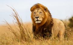 Before the Fame: Safari to Zambia’s Hidden Gems