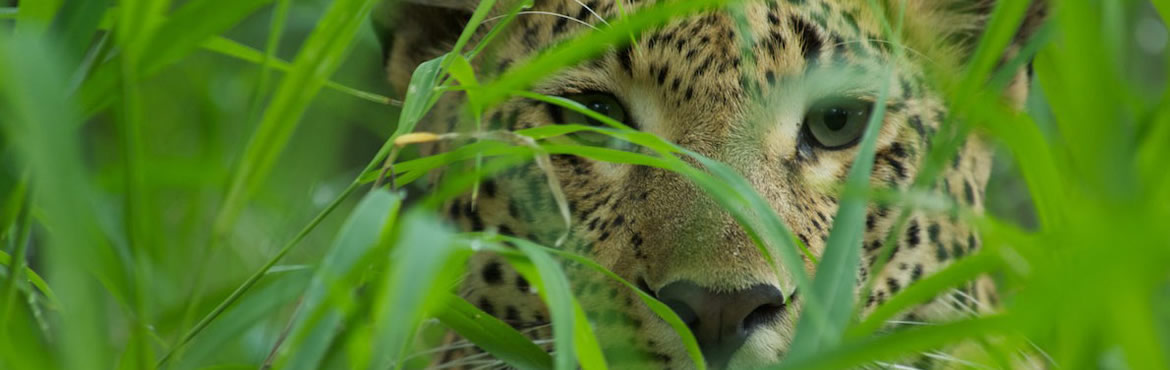 12 Days Kenya Tanzania Adventure Safari