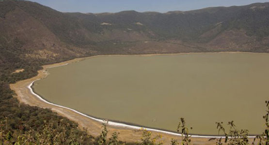 5 Days Ngorongoro Trekking Highlands