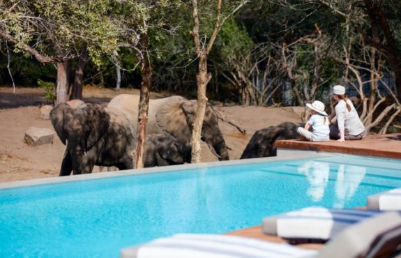 Five-Star Zimbabwe Safari For Active Families