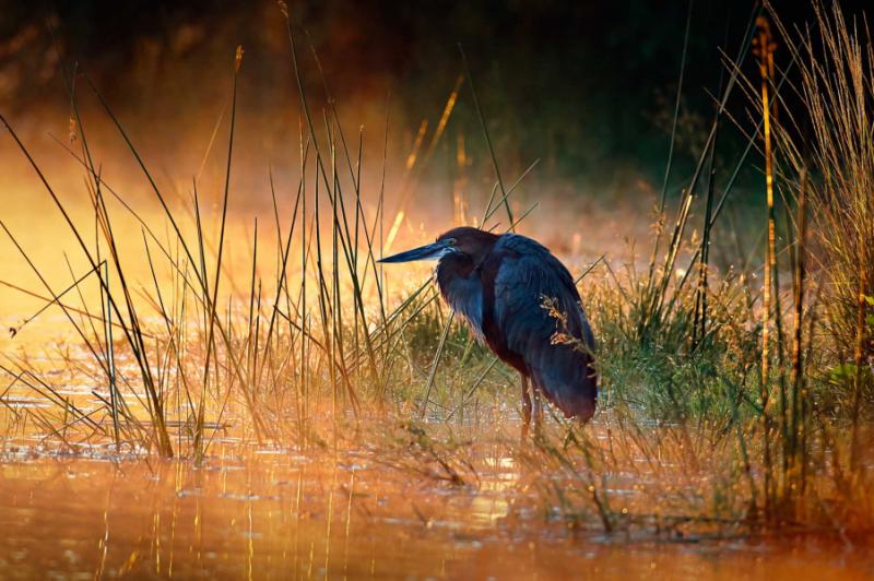 Undiscovered Gems of Zimbabwe: Matobo Hills, Malilangwe and Gonarezhou Safari