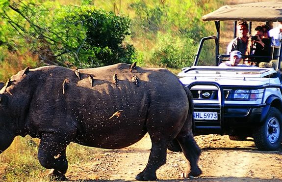 05 Days Karongwe Reserve South Africa Safari