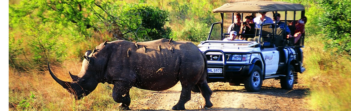 05 Days Karongwe Reserve South Africa Safari