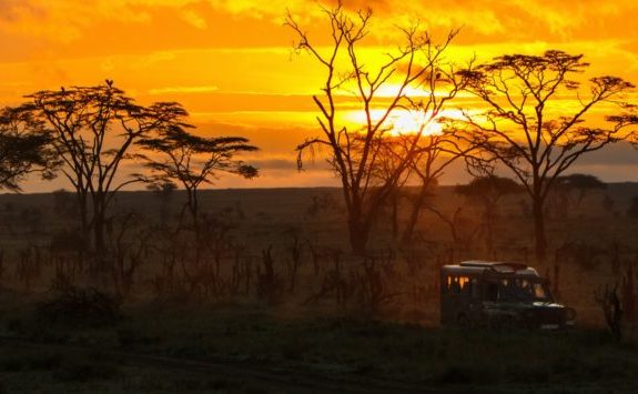 Marangu Route