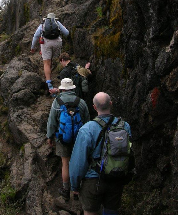 6 Days Lemosho Route