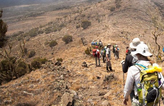 Mount Kilimanjaro Climb Lemosho Route