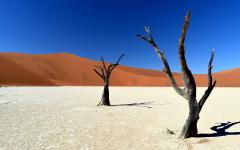 Africa Expedition Tour: South Africa, Namibia, Botswana & Zambia