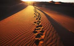 Namibia & Zambia Tour from Windhoek to Victoria Falls