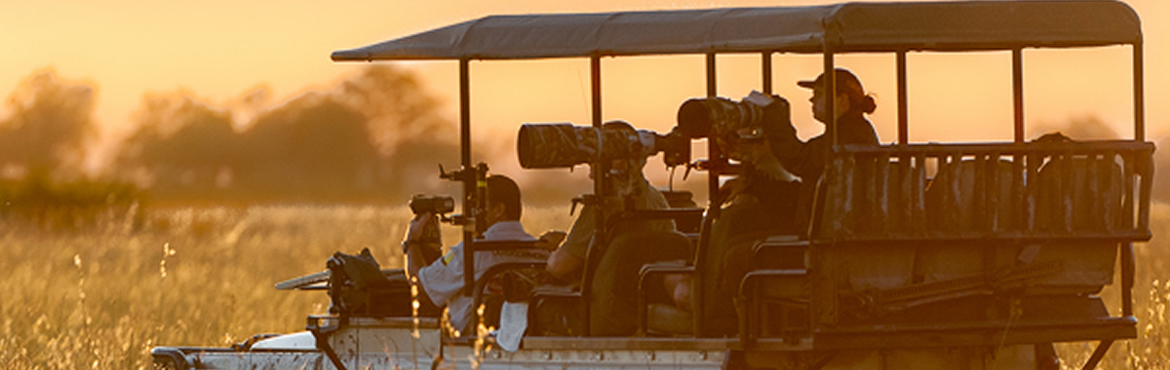 12 Days Tanzania Wildlife Photography Itinerary