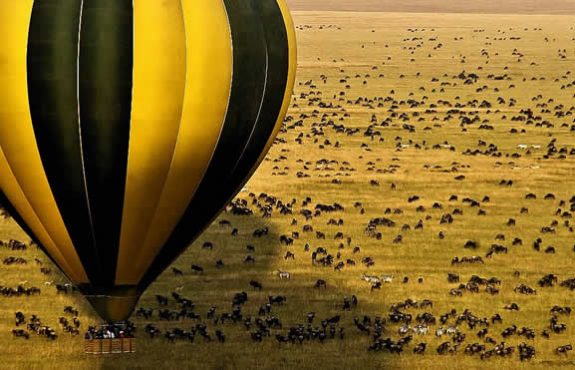 12 Days Trailing Great Migration Serengeti To Masai Mara