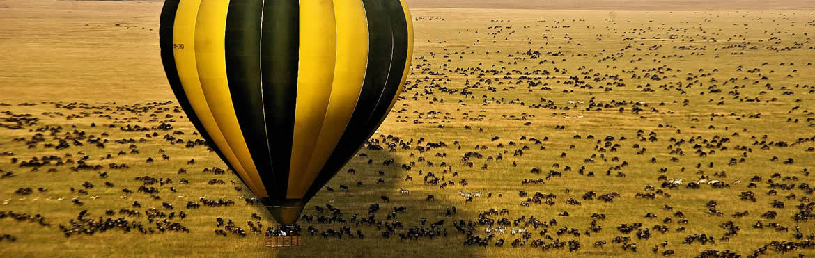 12 Days Trailing Great Migration Serengeti To Masai Mara