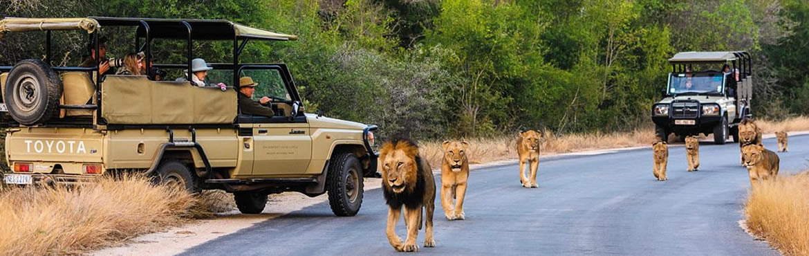 15 Days South Africa Grand Safari Holiday