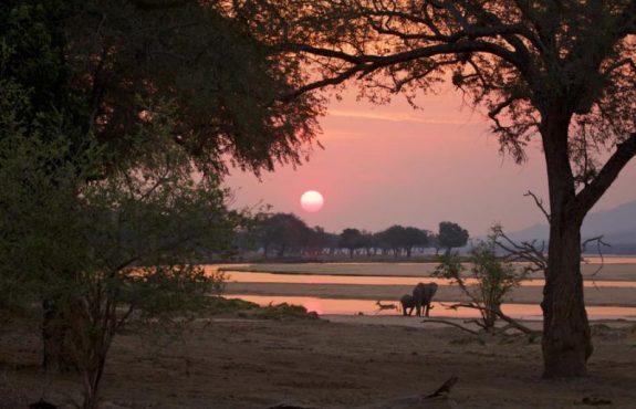 Classic Zimbabwe Safari: Victoria Falls, Mana Pools & Hwange