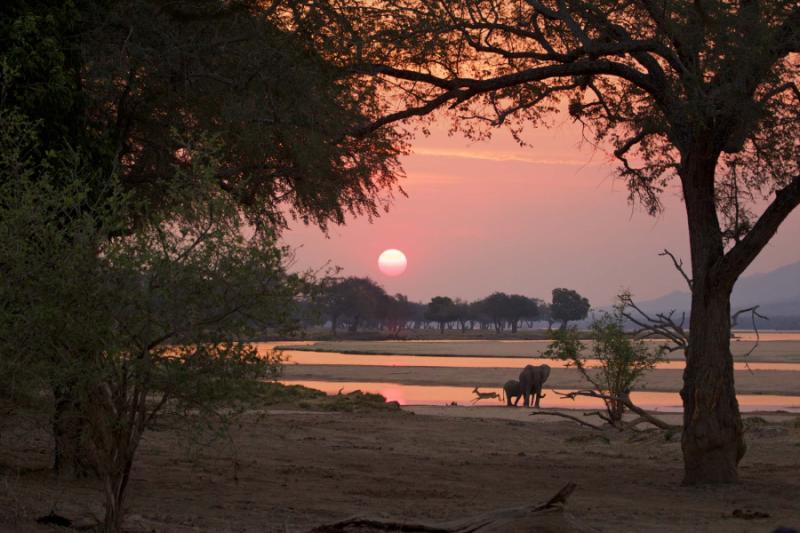 Classic Zimbabwe Safari: Victoria Falls, Mana Pools & Hwange