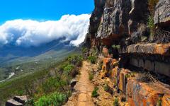 Zambia and the Cape: Vic Falls, Private Safari, Nature and Culture