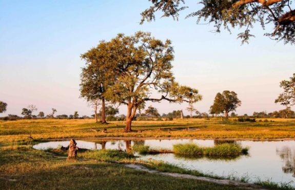 Zimbabwe Dry Season Safari: June to September