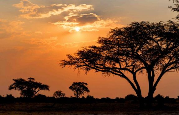 Into the Wild: Zimbabwe Walking & Canoeing Safari